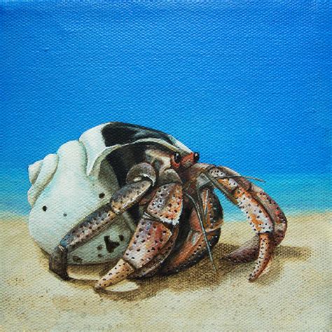 Hermit Crab Painting by Cindy D Chinn