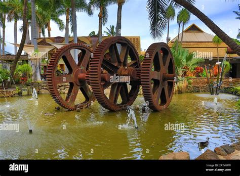 Maui Tropical Plantation, Maui, Hawaii, USA Stock Photo - Alamy