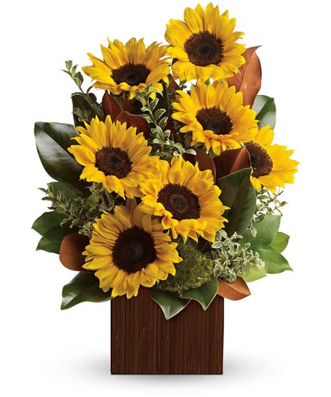 You're Golden Bouquet - 7 Sunflowers | Sunflower arrangements, Get well flowers, Fall flower ...