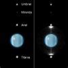 Uranus' Moons are Surprisingly Similar to Dwarf Planets in the Kuiper ...