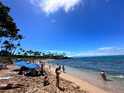 Snorkeling at Kapalua Bay on Maui | Boss Frog's