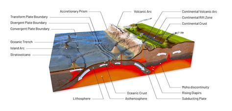 Shaking up geophysics: A new model for improved tsunami prediction - Research Outreach