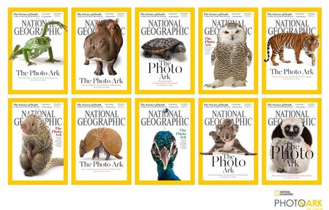 Endangered Species and Their Biomes | National Geographic Society