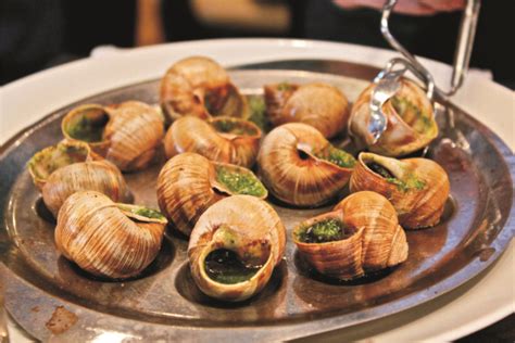 Edible Snails: Where to Buy, How to Grow and Cook These Dishes