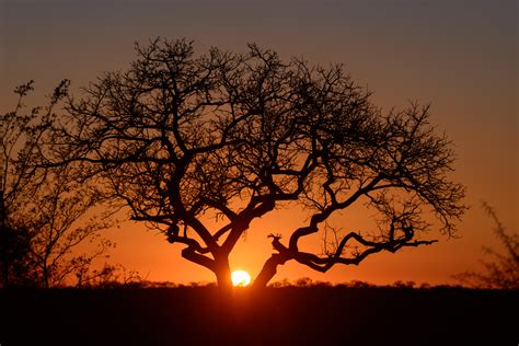 Our Leopard Hills adventure - Leopard Hills Private Game Reserve