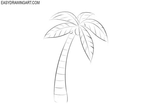 How to Draw a Palm Tree - Easy Drawing Art