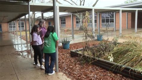 Bryan ISD STEM students experience weather damage to school garden