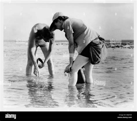 Marine biology research Stock Photo - Alamy