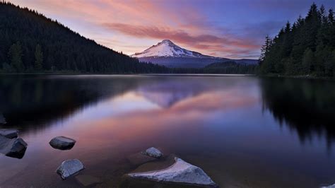 Green reflection in the peaceful lake HD desktop wallpaper : Widescreen ...