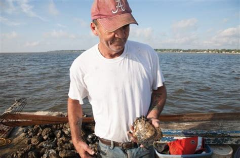 Watch Alabama Crab Fishermen Harvest and Process Blue Crabs - Eat Alabama Seafood