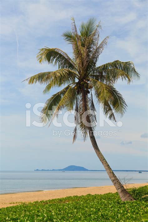 Beautiful Tropical Beach In Thailand Stock Photo | Royalty-Free ...