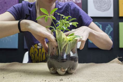 Plastic Bottle Terrarium - Soda Bottle Terrarium - Soul Flower Blog