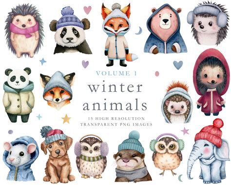 Winter Animals Clipart Commercial Use Winter Png Clip Art - Etsy