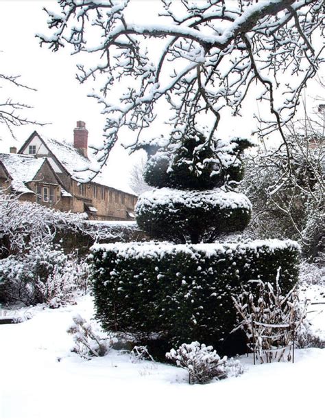 English gardens in winter Cold Fingers, English Gardens, Kew Gardens ...