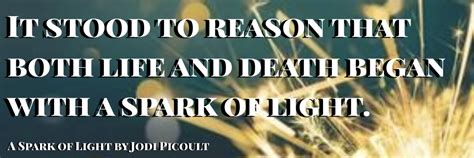 Book Review: "A Spark of Light" by Jodi Picoult (Spoiler-Free!) - Owlcation