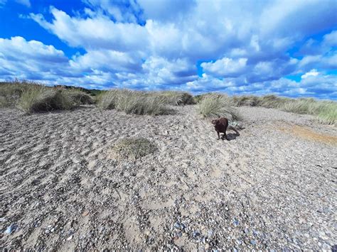 Suffolk Coast Path — Contours Walking Holidays