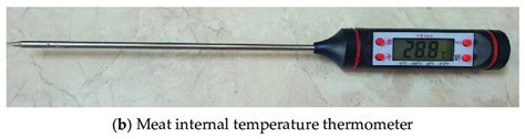 The lamb meat and thermometer. | Download Scientific Diagram