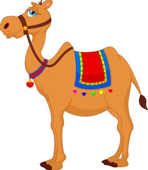 Pin on camels