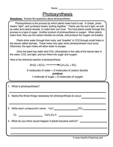 Photosynthesis Reading Worksheet by Teach Simple