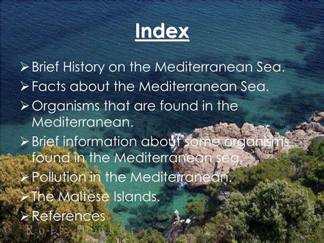 PPT - The Mediterranean Sea PowerPoint Presentation, free download - ID:5033861