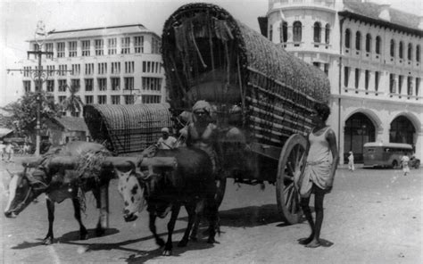 Ceylon (Sri Lanka) - SNAPSHOTS 1952