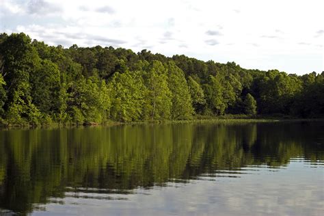 Best Hikes in Hoosier National Forest (IN) - Trailhead Traveler