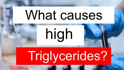 What does high Triglycerides and RDW mean in blood test?