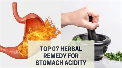 Best 07 Herbal Remedy For Stomach Acidity | Biophytopharm