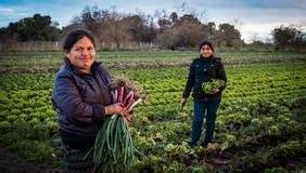 Argentina | World Agriculture Watch | Organización de las Naciones ...