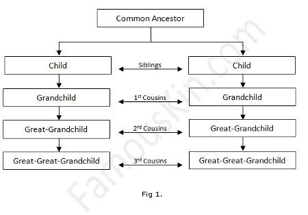 Consanguinity Chart Example Second Cousin, Images Google, Two People, Family History, Cousins ...