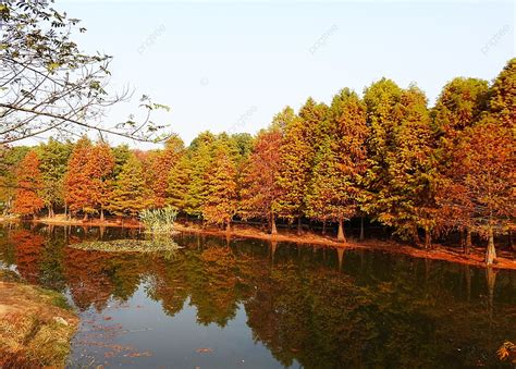 Autumn Photography Of The Countryside Background, Rural, Landscape, Beautiful Village Background ...