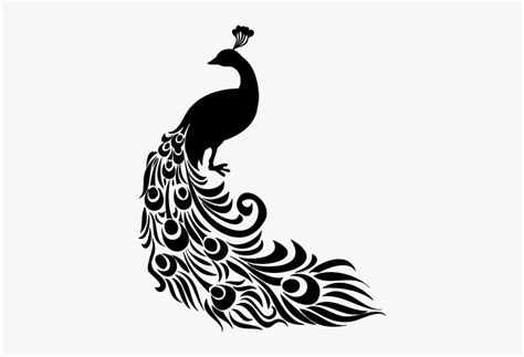 Peacock Silhouette Png, Peacock Feathers Png Image - Peacock Clipart ...