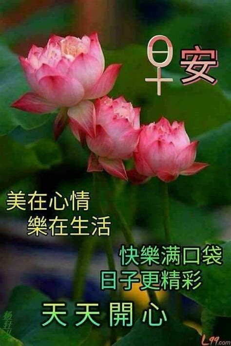 Pin by May on Good Morning Wishes (Chinese) | Good morning greetings, Good morning wishes ...