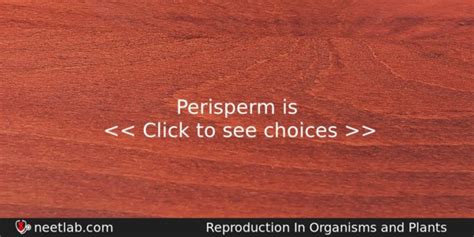 Perisperm is - NEETLab