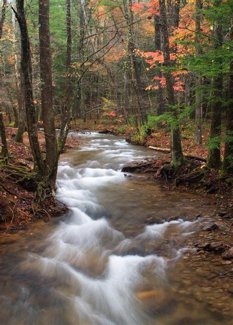 Dahlonega, Georgia Beautiful Places To Visit, Wonderful Places ...