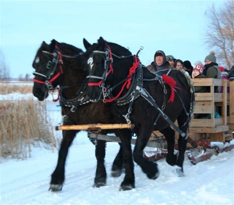 Horse Drawn Rides | RJ's Stables