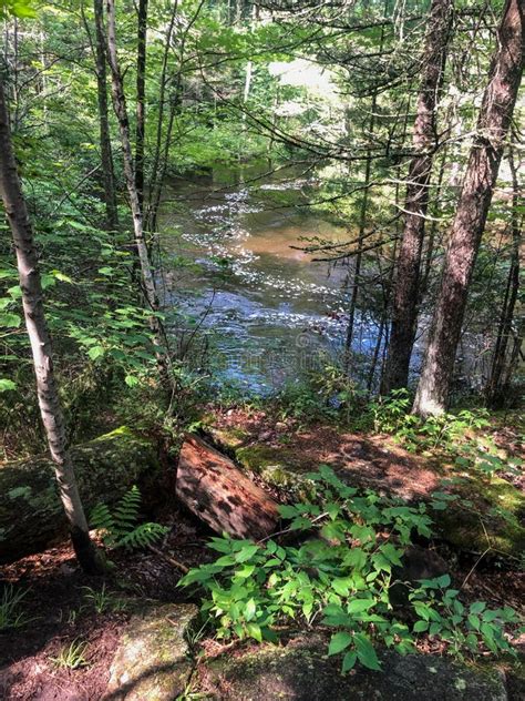 Scenic View of Pike River in Dunbar, Wisconsin Stock Photo - Image of scenery, nature: 191010128