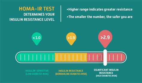 Are You Insulin Sensitive? - Vida Integrated Health