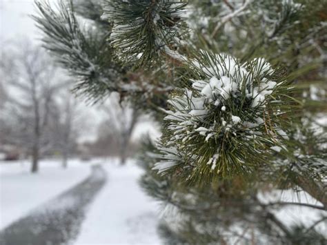 Denver weather: Snow showers to return amid record-breaking cold