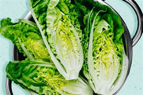 Is Romaine Lettuce Healthy? Here's What a Dietitian Says | Healthy ...