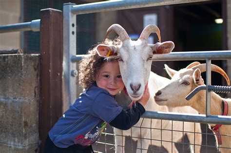 13 pictures of humans hugging animals that will make you feel better