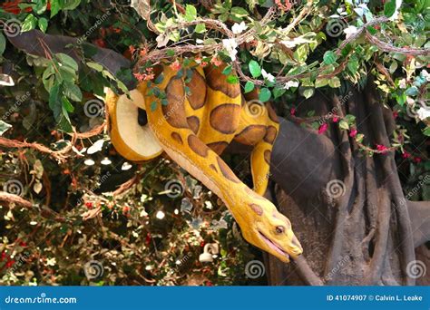 Boa Constrictor At The Rainforest Cafe, Nashville Tennessee Editorial ...