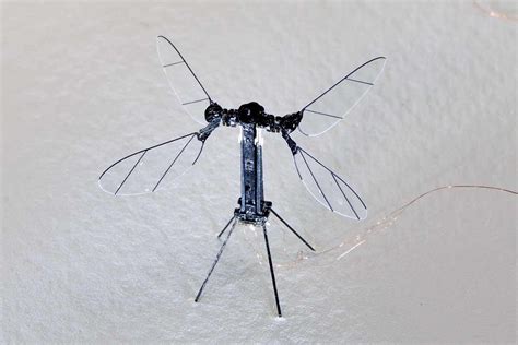 South Korea to develop insect-inspired microrobots for covert military ...