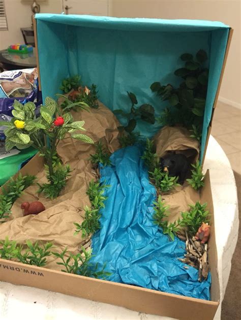 Biome shoebox project | Ecosystems projects, Rainforest project, Habitats projects