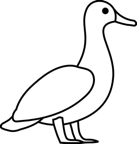 Rubber Duck Outline - Cliparts.co