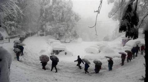 Shimla receives highest snowfall this January in 8 years - India News