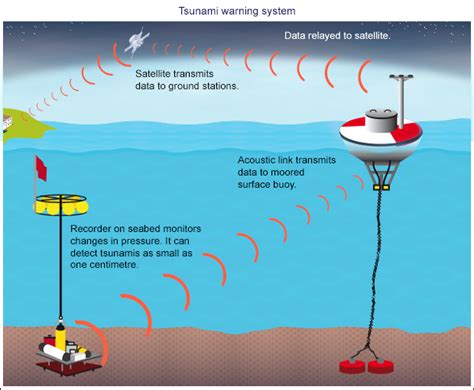 How much warning do you get when a tsunami happens? › Ask an Expert (ABC Science)