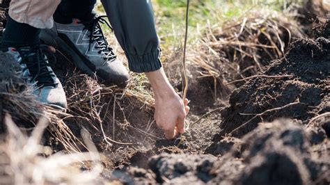 Free Photo | Volunteer planting trees in nature