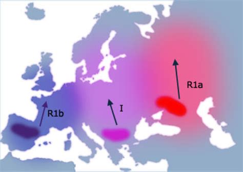 The MacGregor DNA Project