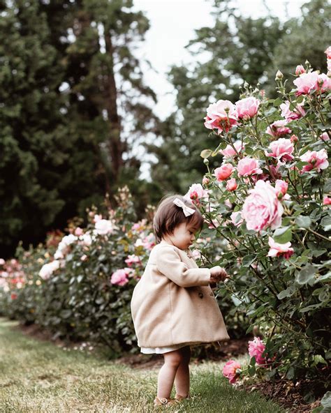 Rose garden photoshoot|floral photography|garden photoshoot Garden Photography, Floral ...